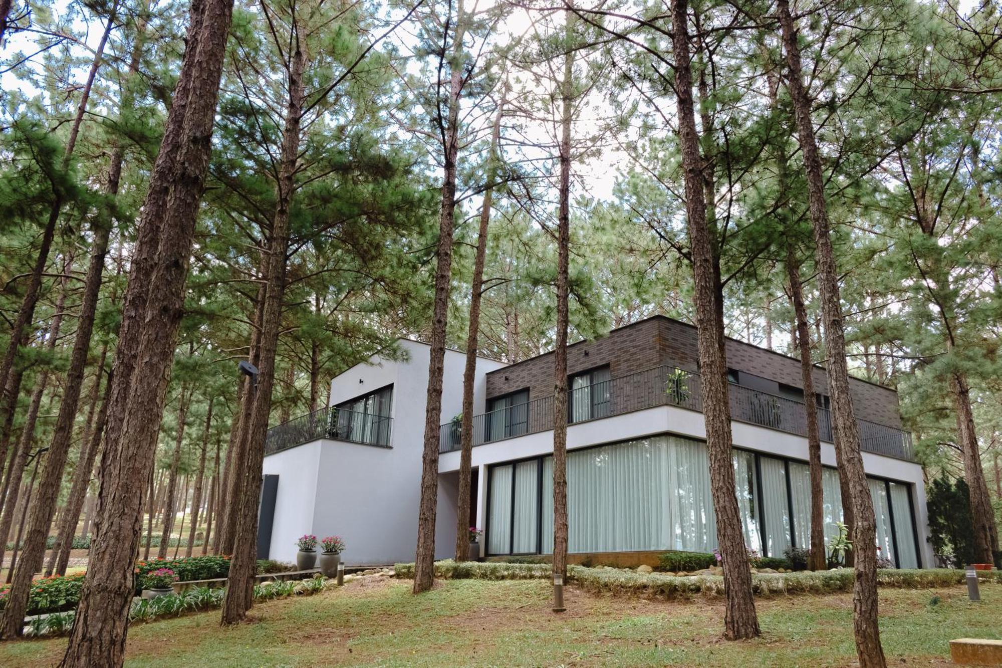 Terracotta Hotel&Resort Dalat Esterno foto